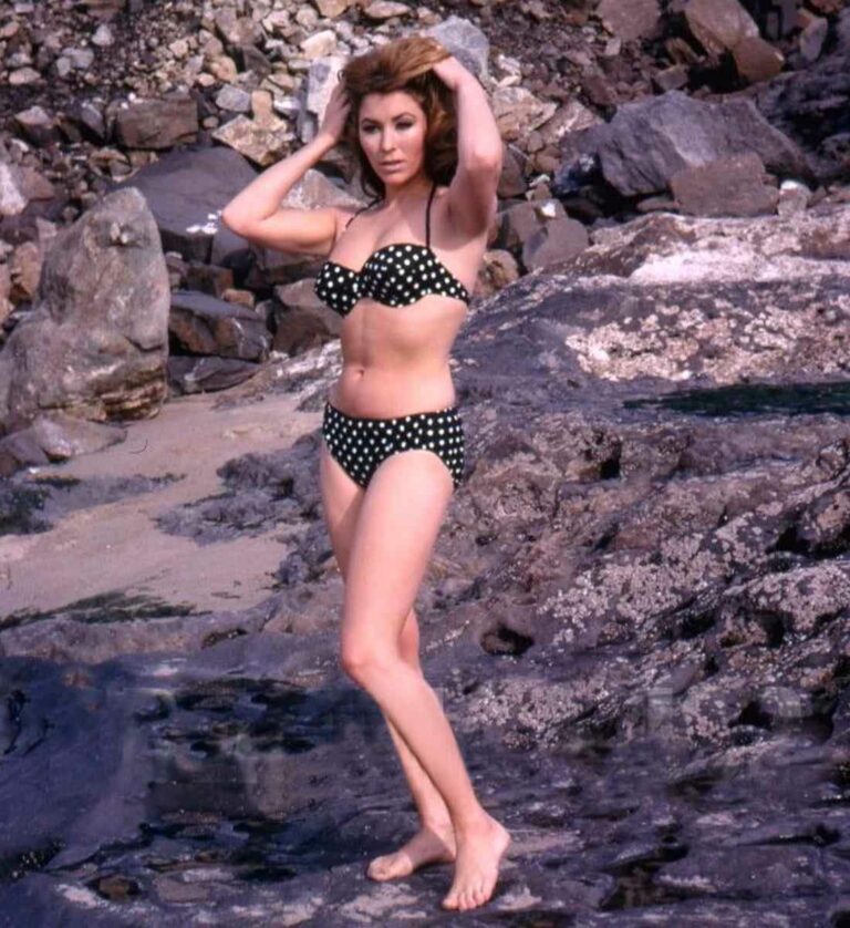 Michele Carey measurements, bio, height, weight, shoe and bra size