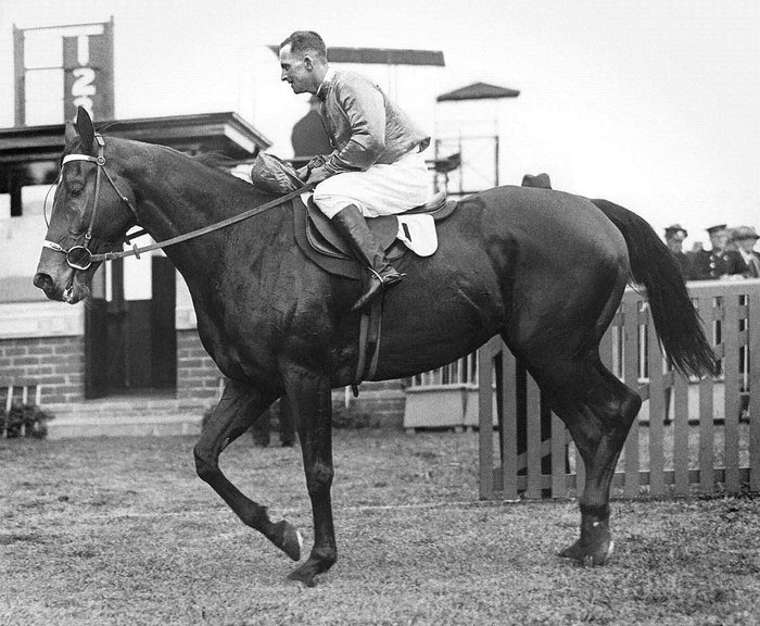 Frank Hayes