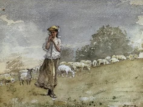 Shep Houghton