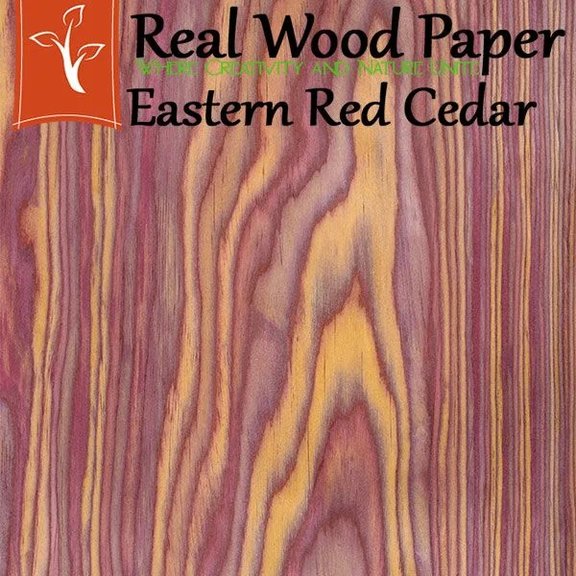 Larry Cedar