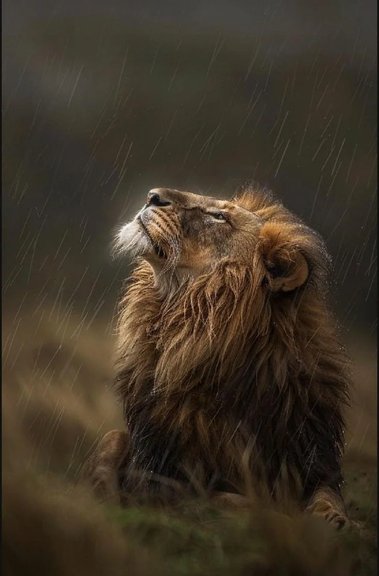 Leon Rains