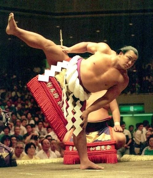 Yokozuna