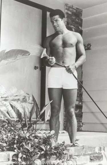 Van Williams